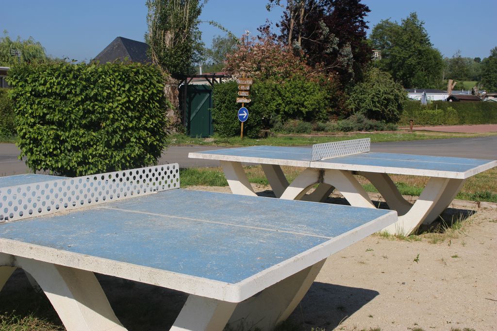 table ping pong