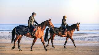 chevaux
